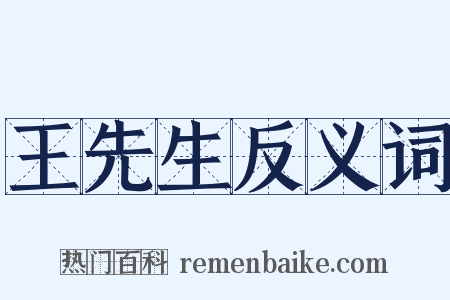 王先生反义词是什么意思的图片